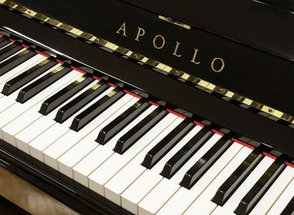 Đàn piano Upright Apollo A1210W