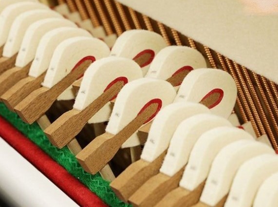 Đàn piano Upright Apollo A1210W