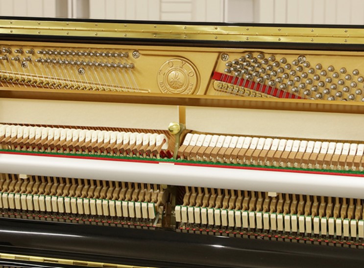 Đàn piano Upright Apollo A1210W