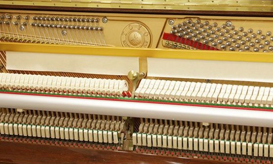 Đàn piano Upright Apollo A122DX
