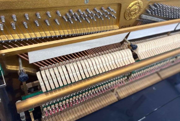 Đàn piano Upright Apollo A2