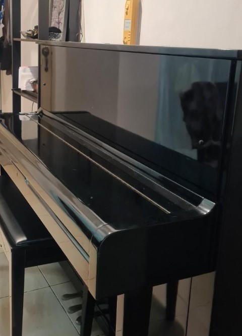 Đàn piano Upright Apollo A2