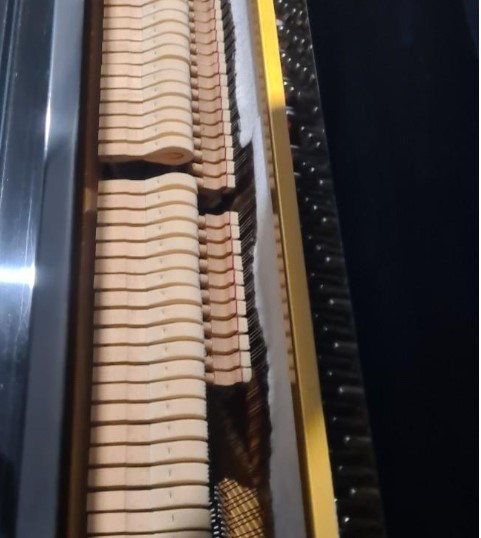 Đàn piano Upright Apollo A2