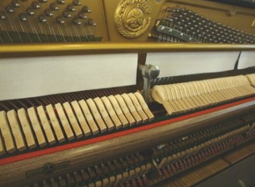 Đàn piano Upright Apollo A3