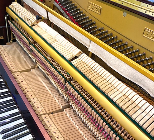 Đàn piano Upright Apollo A330