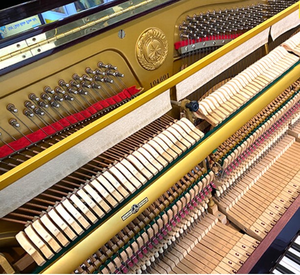 Đàn piano Upright Apollo A330