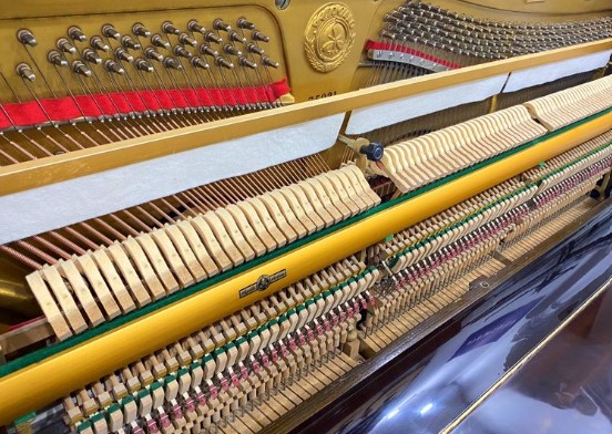 Đàn piano Upright Apollo A350