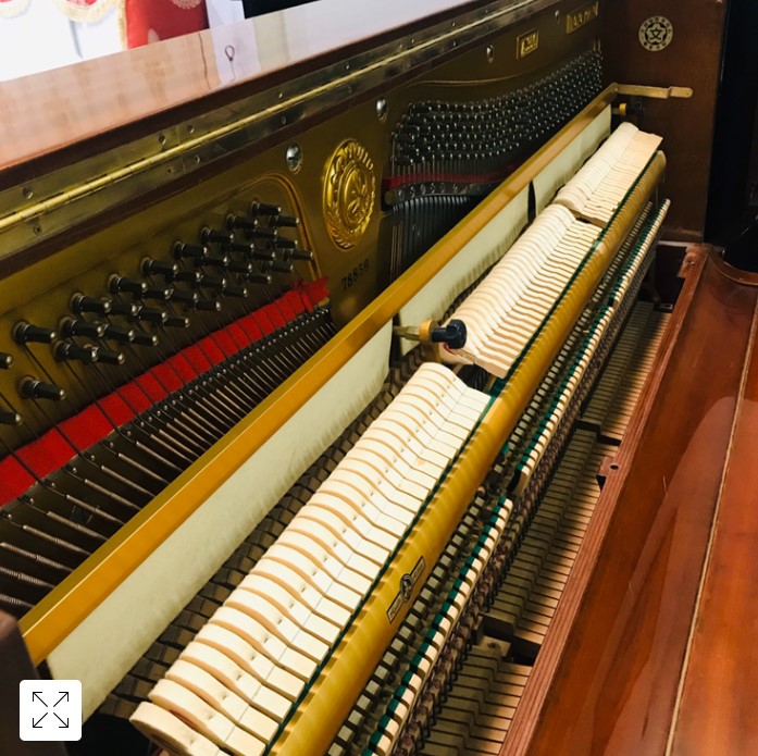 Đàn piano Upright Apollo A350