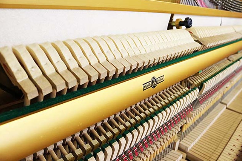 Đàn piano Upright Apollo A360 