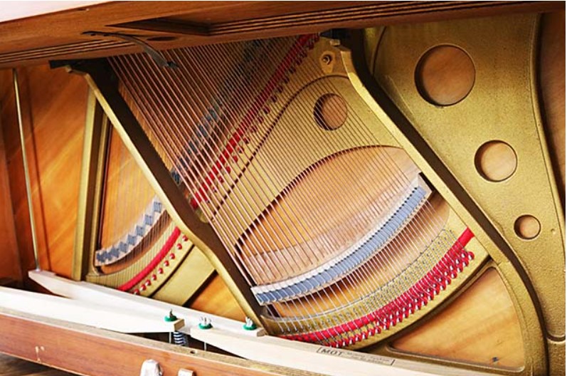 Đàn piano Upright Apollo A360 