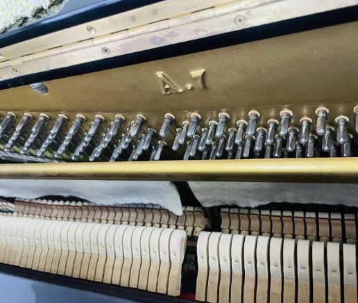Đàn piano Upright Apollo A7