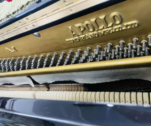 Đàn piano Upright Apollo A7