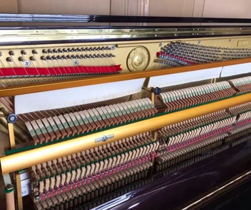 Đàn piano Upright Apollo AR78