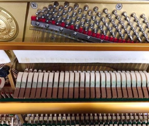 Đàn piano Upright Apollo AR78