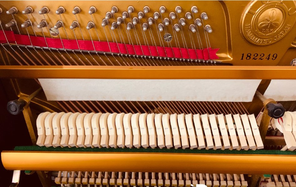 Đàn piano Upright Apollo AS300