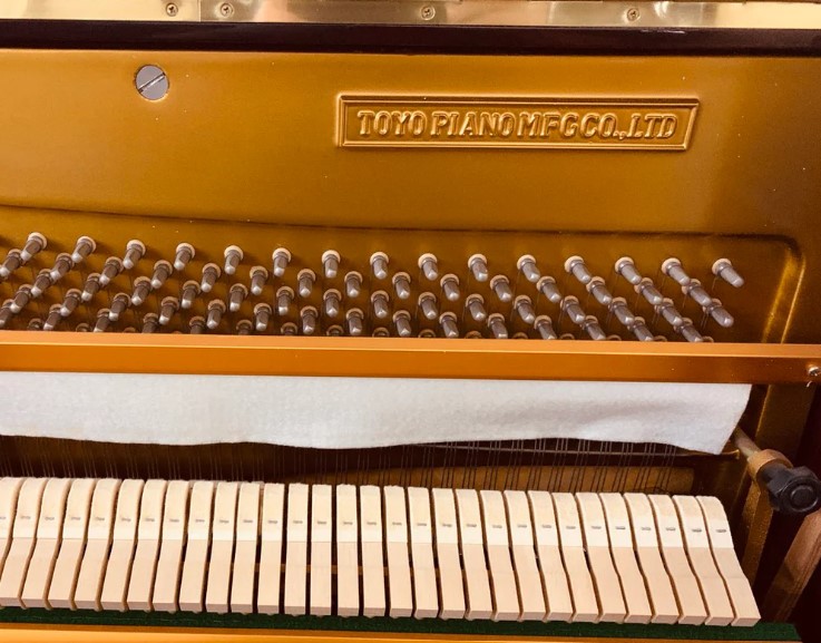 Đàn piano Upright Apollo AS300