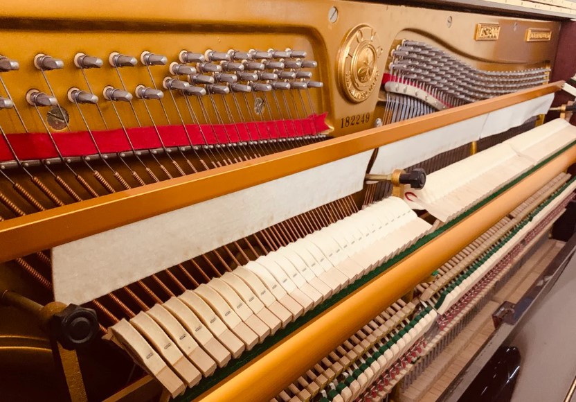 Đàn piano Upright Apollo AS300