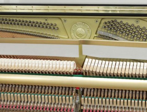Đàn piano Upright Apollo AW500
