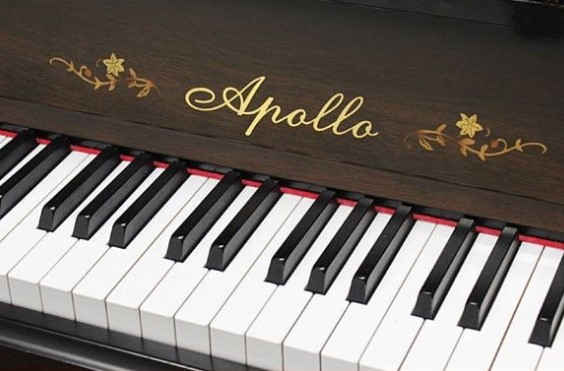 Đàn piano Upright Apollo AW800