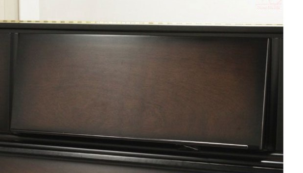 Đàn piano Upright Apollo AW800