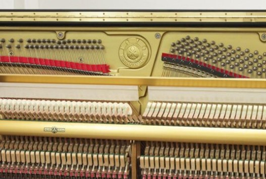 Đàn piano Upright Apollo AW800