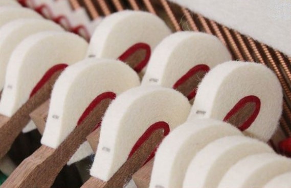 Đàn piano Upright Apollo KYT121WN