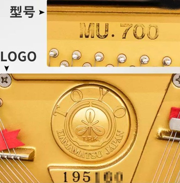 Đàn piano Upright Apollo MU700 