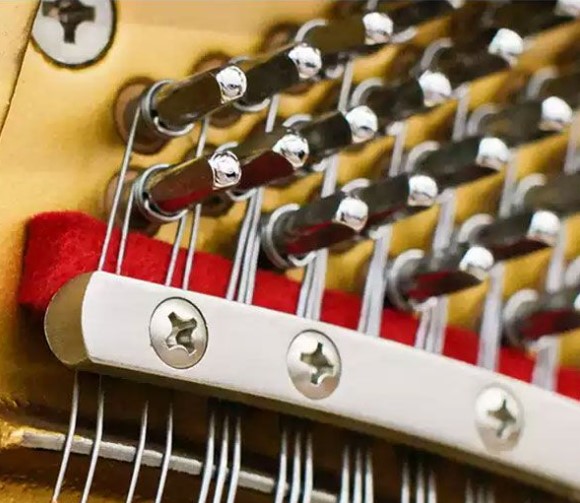 Đàn piano Upright Apollo MU700 