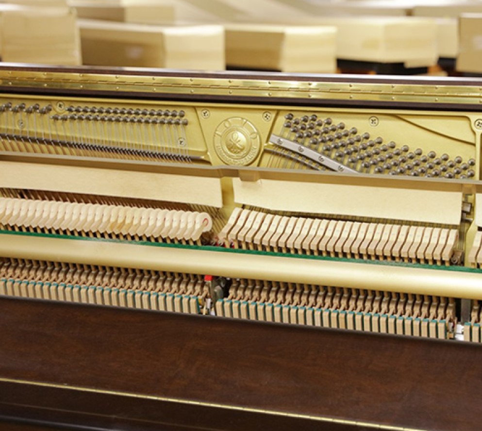 Đàn piano Upright Apollo RU200