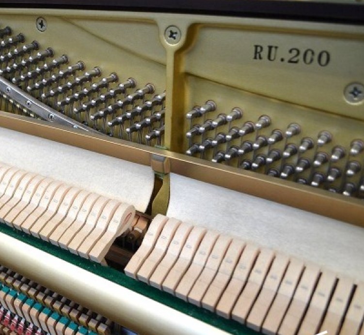 Đàn piano Upright Apollo RU200