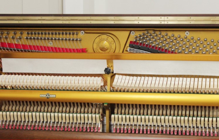 Đàn piano Upright Apollo RU33