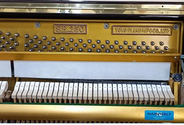 Đàn piano Upright Apollo SR250