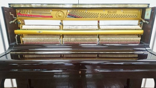 Đàn piano Upright Apollo SR250