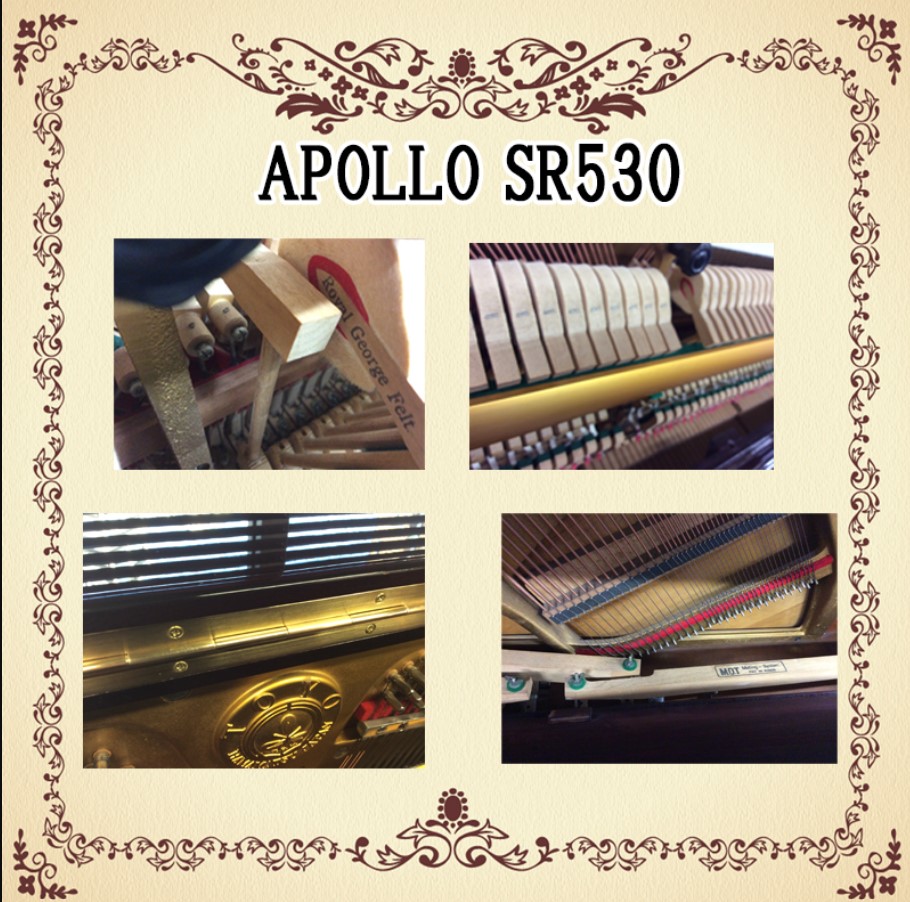 Đàn piano Upright Apollo SR530