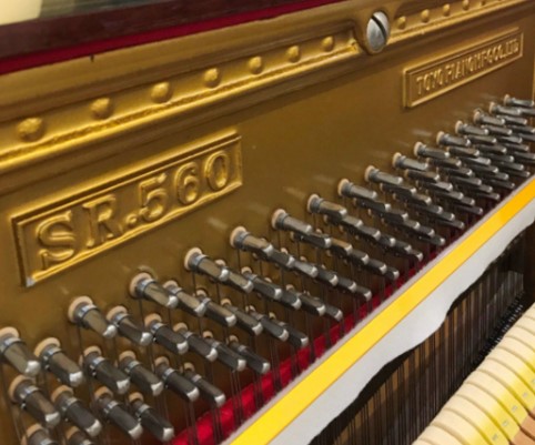 Đàn piano Upright Apollo SR560