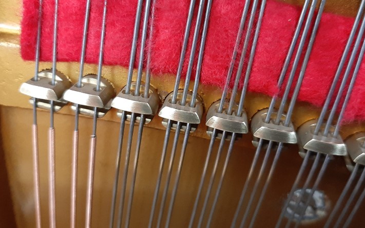 Đàn piano Upright Apollo SR560