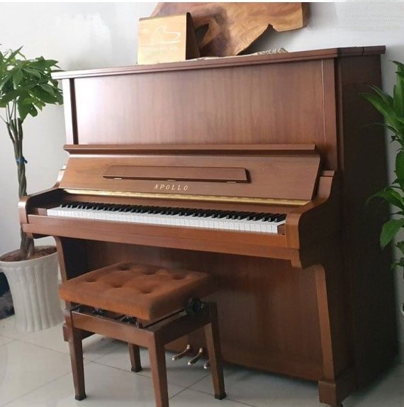 Đàn piano Upright Apollo SR560