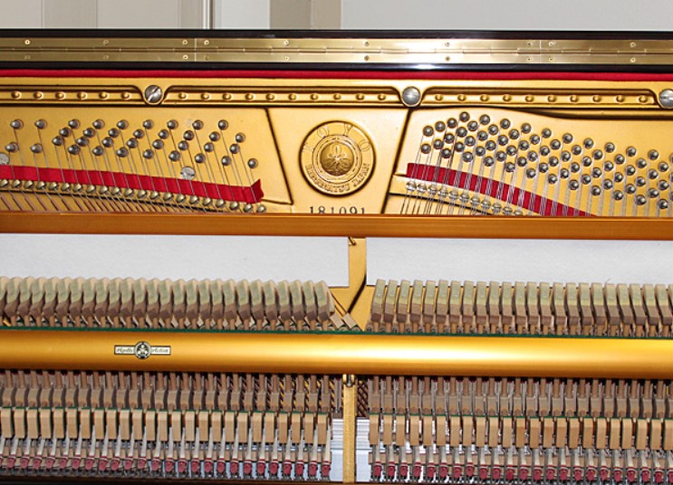 Đàn piano Upright Apollo SR565