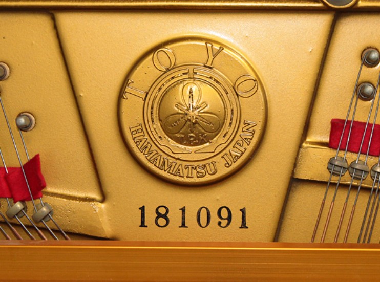 Đàn piano Upright Apollo SR565