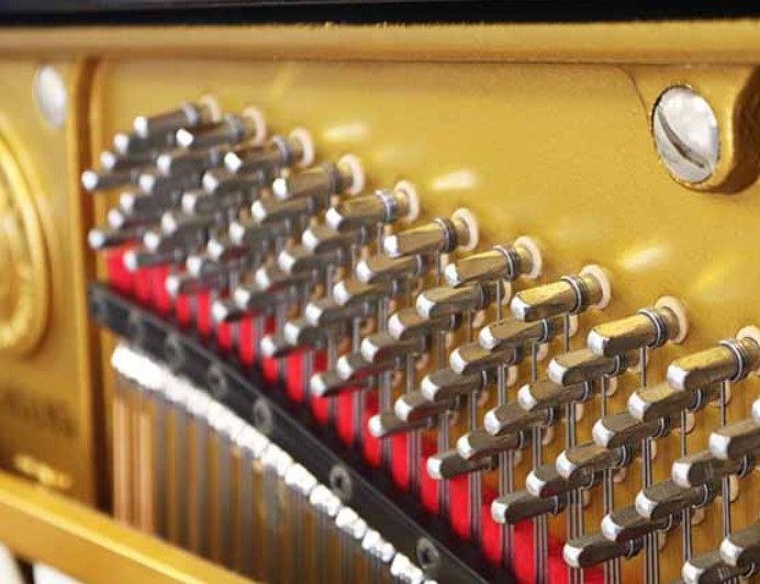 Đàn piano Upright Apollo SR8