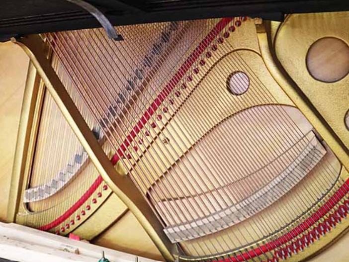 Đàn piano Upright Apollo SR8