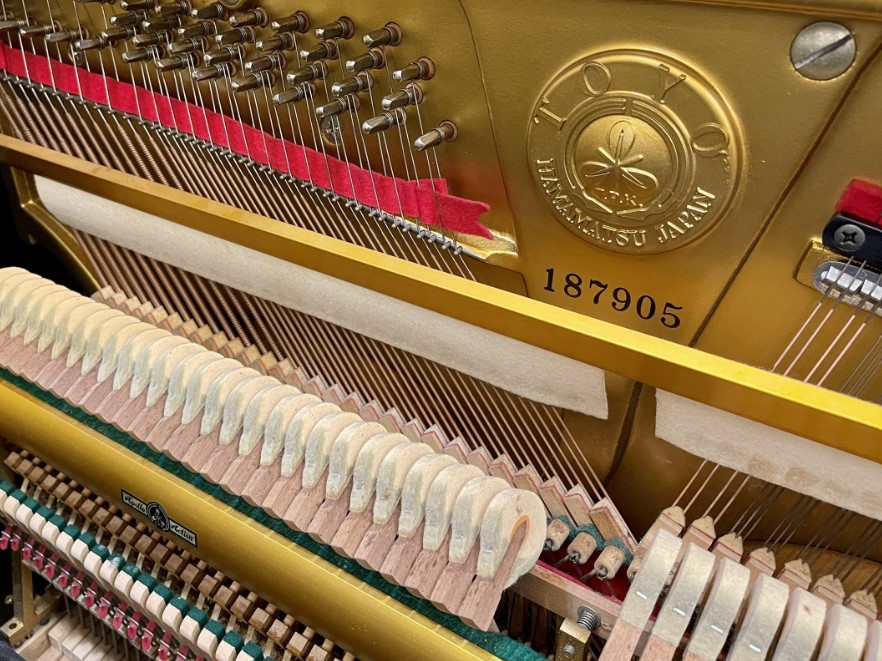 Đàn piano Upright Apollo SR85