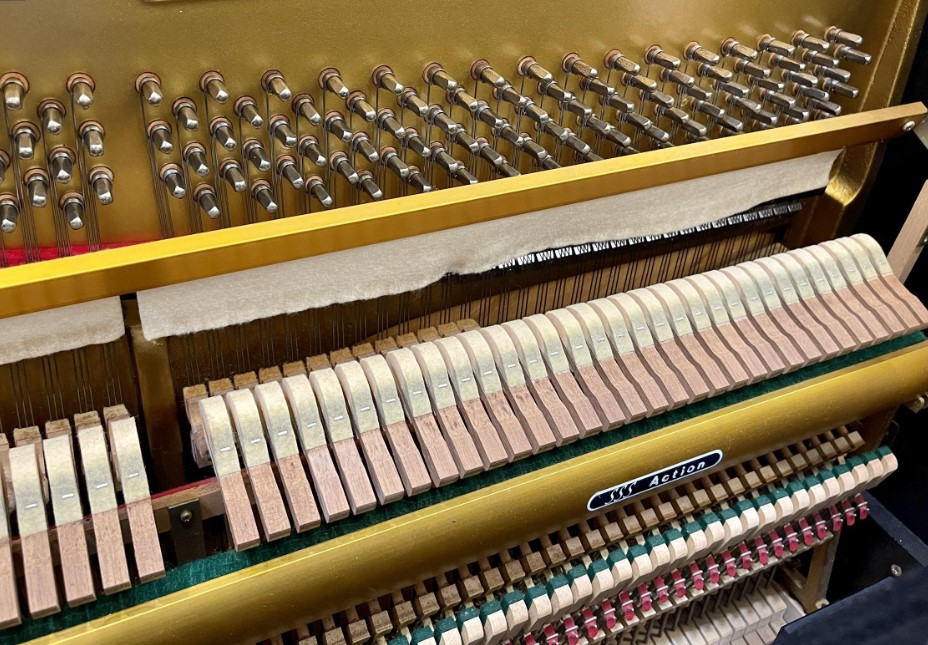 Đàn piano Upright Apollo SR85