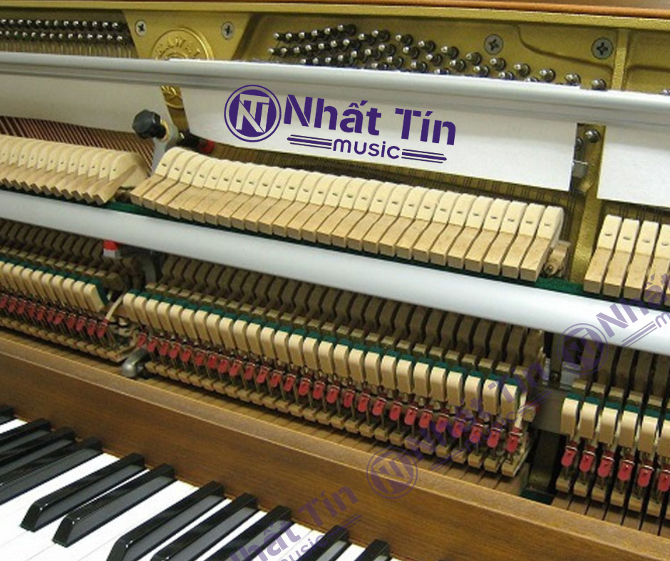 Đàn Piano cơ Kawai CL5