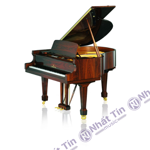 Đàn Grand Piano C.Bechstein Academy A160