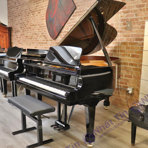 Đàn Grand Piano C.Bechstein Academy A175