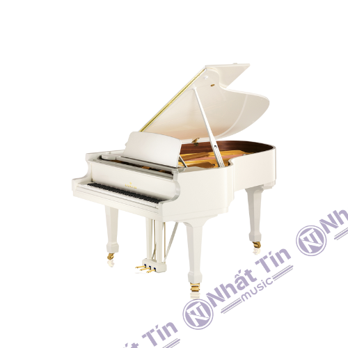 Đàn Grand Piano C.Bechstein Academy A190