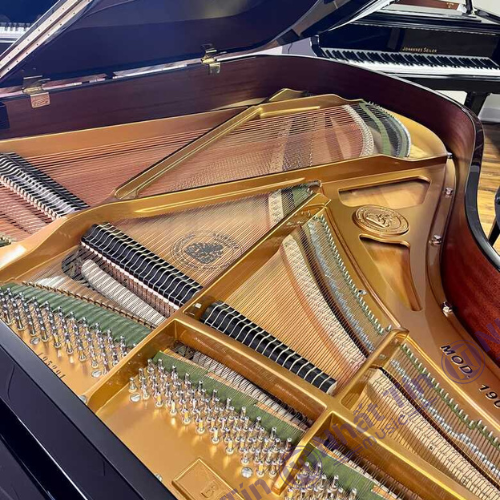 Đàn Grand Piano C.Bechstein Academy A190