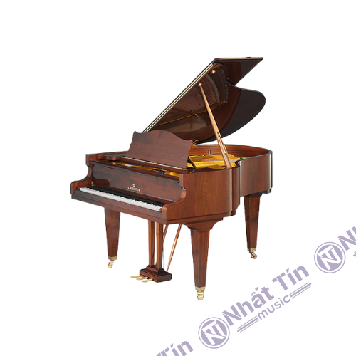 Đàn Grand Piano C.Bechstein Academy A208
