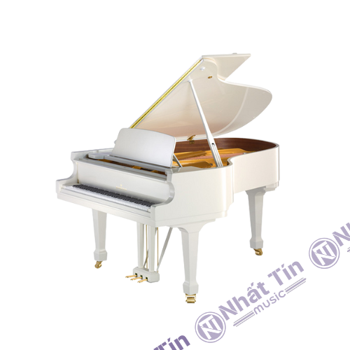 Đàn Grand Piano C.Bechstein Academy A228